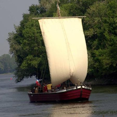 Les Orkys De Loire Hotel Chalonnes-sur-Loire Bagian luar foto