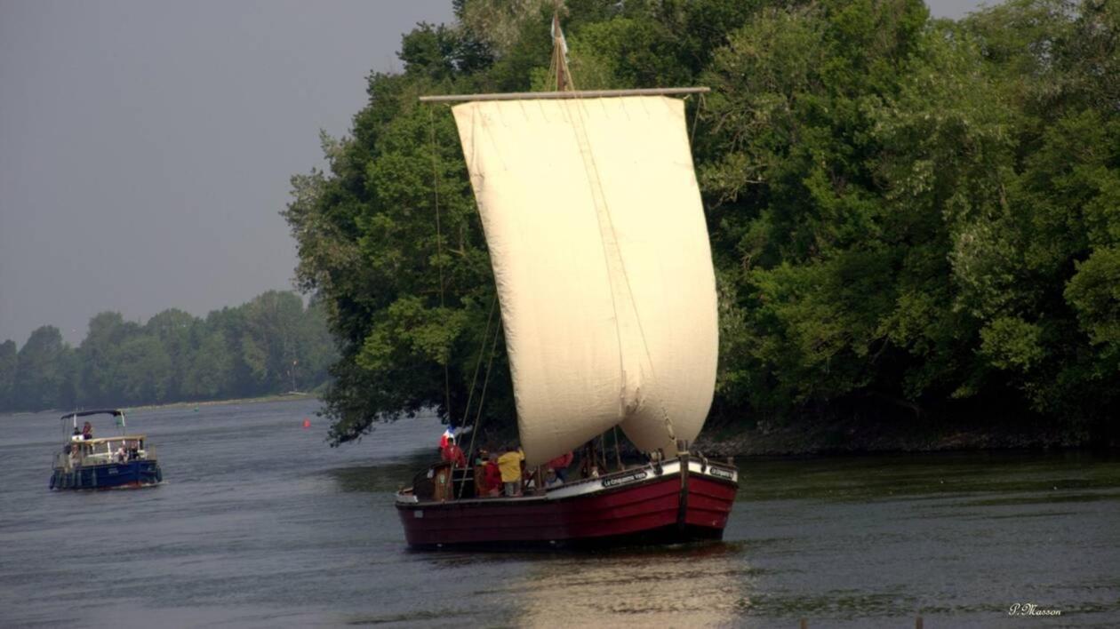 Les Orkys De Loire Hotel Chalonnes-sur-Loire Bagian luar foto