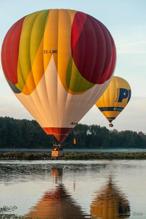 Les Orkys De Loire Hotel Chalonnes-sur-Loire Bagian luar foto